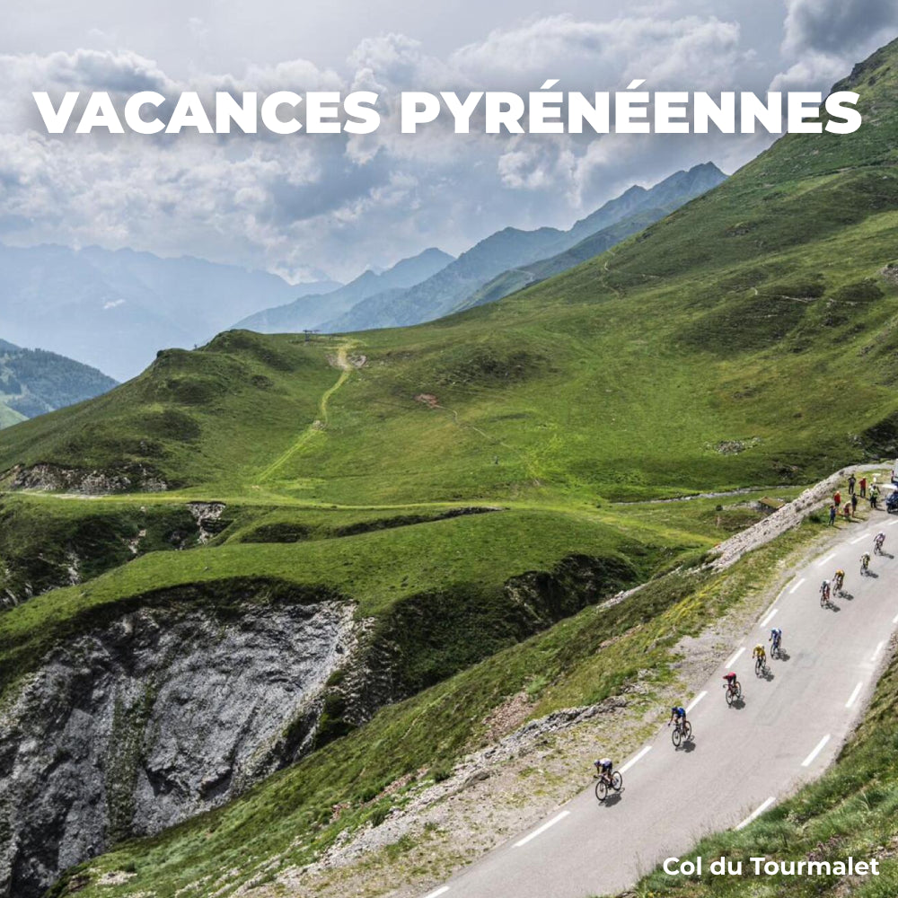 Pyrenean Holidays